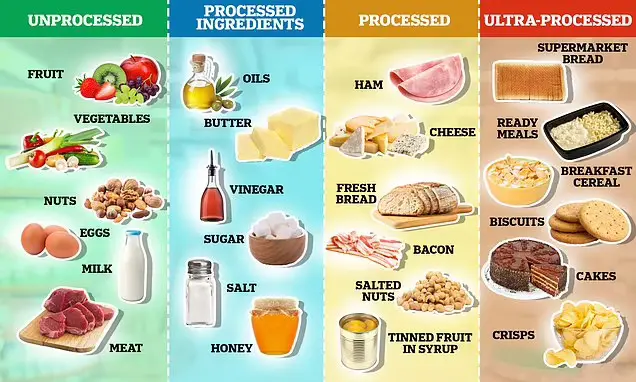 Examples of common ultra-processed foods showing various packaged and processed products